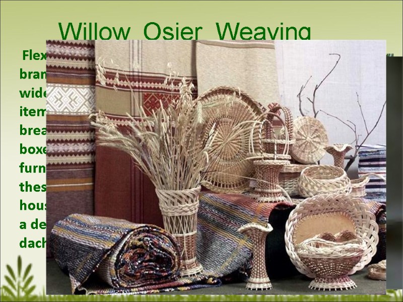 Willow  Osier  Weaving      Flexibility of willow branches